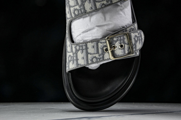 D1R* SLIDE copshoe DR-SLIDE 014